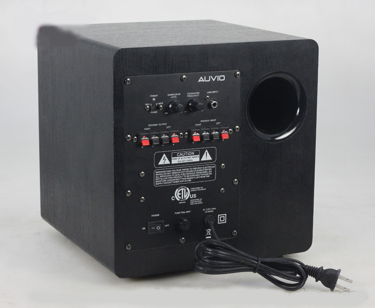 active bass speaker