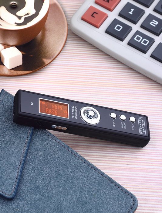 CE FCC ROHS Rechargeable 8GB PCM Recording VOR Digital Audio Voice