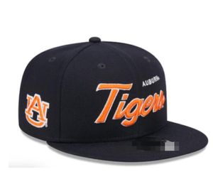 Alabama Crimson Auburn Tigers Baseball 2024 All Team Fan's USA College Instelbare hoed op Field Mix Order Gesloten Flat Bill Base Ball Snapback Caps Bone