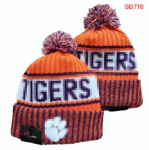 Alabama Crimson Tide Beanies Tigers Beanie North American College Team Side Patch Winter Wool Sport Sath Skull Caps A1