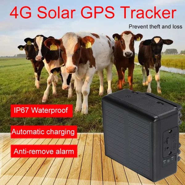 Alarma RFV26 2G Solar GPS Tracker Antilost para ovejas para mascotas Vacas de vaca Animales y automóviles Global Posicioning Tracker / RFV24 Tracker 2G / 4G