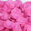 rose petals