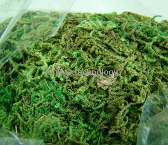 

Wholesale-300g BULK Bag of Dried Artificial Reindeer Moss for Flowers Hanging Baskets Lining