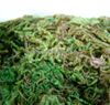 Wholesale-300g BULK Bag of Dried Artificial Reindeer Moss for Flowers Hanging Baskets Lining