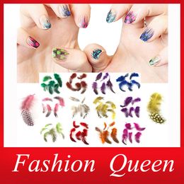 Wholesale-Sexy 3d Feather Nail Art Decoration, Mix 12colors(100pcs) Hot DIY Nail Beauty Accessories,Nail Stickers Supplies,Free Shipping