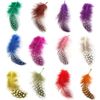 Vente en gros-Sexy 3D Feather Nail Art Décoration, Mélange 12Couleurs (100pcs) Hot Diy Nail Beauty Accessoires, Stickers à ongles Fournitures gratuites