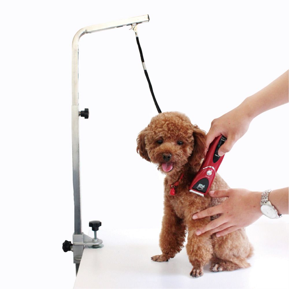 Online Cheap Wholesale Pet Grooming Station Tactic Fixed ...