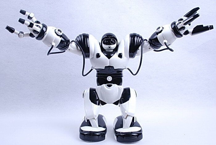 tt313 robot