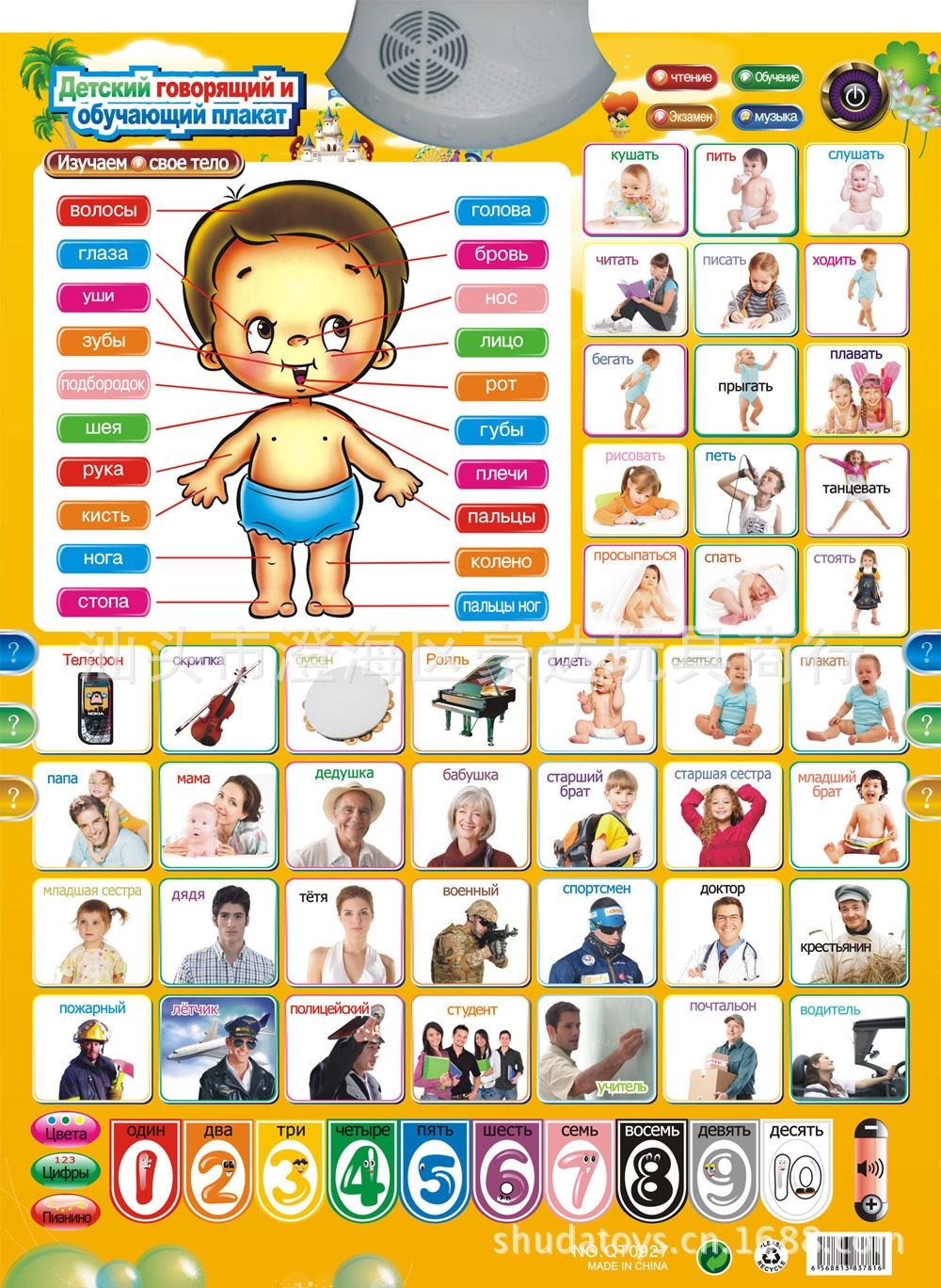 Kids Learning Charts
