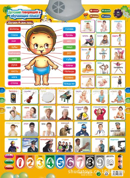 Kids Wall Charts