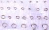 W luzie 500 sztuk / partia, wysokiej jakości części, silna biżuteria Znalezienie znakowania 316L ze stali nierdzewnej 5x0.8mm mm Ring Otwarty pierścień srebrny