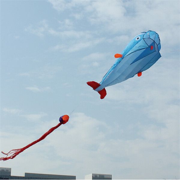 

wholesale-hot sale outdoor sports beach entertainment kites 3d huge parafoil giant dolphin blue kites with 30m string line