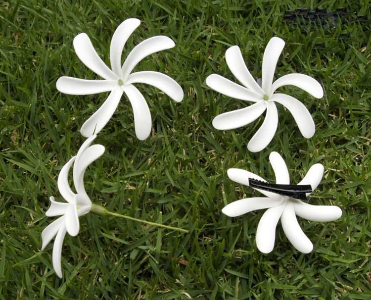4 TIARE FOAM FLOWER HAWAIIAN FOAM FLOWER HAIR FLOWER WITH EAR STICKS