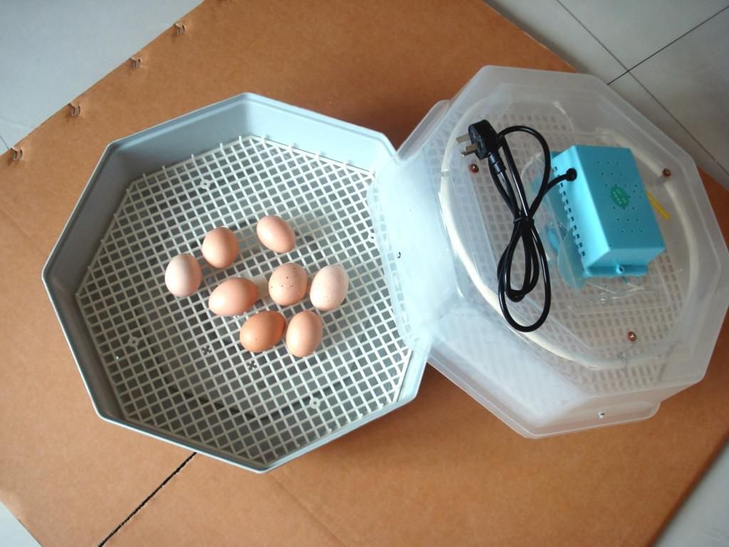 Electrical Thermostat Chicken Egg Incubator JN2 56 Bird ...