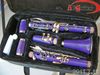 専門の木管楽22のケースが付いている明るい紫色のクラリネット17キー
