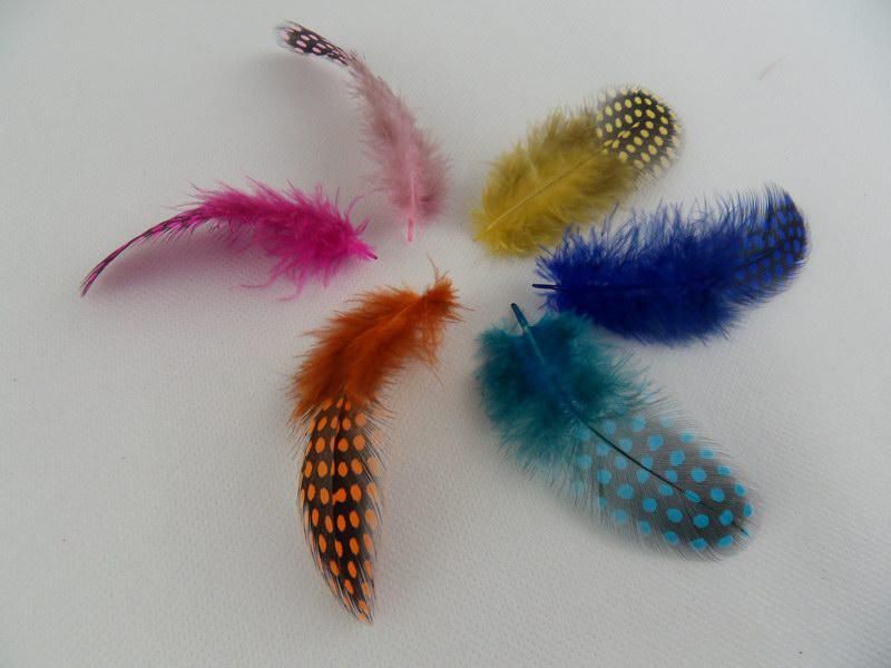 Heißer Verkauf beschmutzte Feather Extension Featers 100 Federn, 100 Perlen, STF001