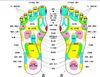 2pcs/lot Magical massager slipper for tens Acupuncture digital Therapy Machine massager device