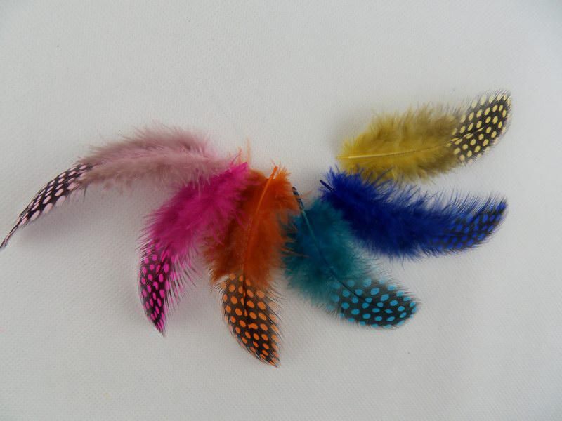 spotted Feather Extension Featers Extensions 100 Feathers 100 Beads STF0011464897