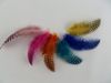 Hot sale spotted Feather Extension Featers Extensions 100 Feathers, 100 Beads, STF001