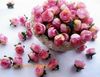 Nowy 100 sztuk 3 cm Sztuczne Jedwab Róża Camellia Kwiat Głowica Opuszcza Ślub Wystrój Boże Narodzenie 6 Kolory Dostępne
