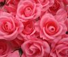 300pcs silke camelia blomma huvud halvöppna konstgjorda blommor rosor Camellia peony bröllop jul dia. 8cm