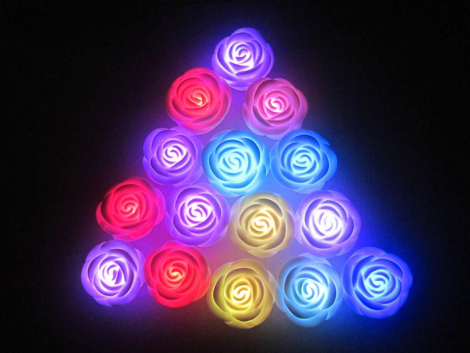 2019 led rose light