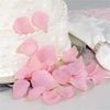 2500pcs Vit Silk Rose Petals Bröllop Favor Party Flower Petal (100 st per väska, 2500 st = 25 påsar)