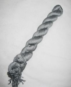 Sciarpa da donna in cotone tinta unita tinta unita SCIARPE poncho sciarpe sciarpe scialli 22 pezzi / lotto # 1392