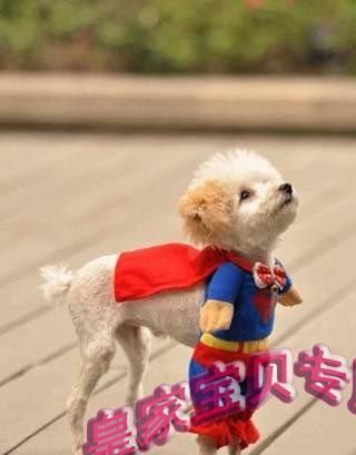 Bester SUPER-HUND-KLEID Hundekleidung Superman-Kostüme für Hunde, nette Haustier-Kleidung, Kostüm 20pcs