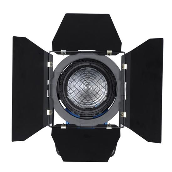 Continous Lighting Video DV Studio Fresnel Tungsten Light 650W + Bulb + Barndoor GY9.5 via Fedex DHL