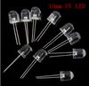 Nieuwe 10mm ultraviolet UV LED Ultra Heldere UV LED 35 graden 400-405nm Hallo Power Purple 100pcs / lot