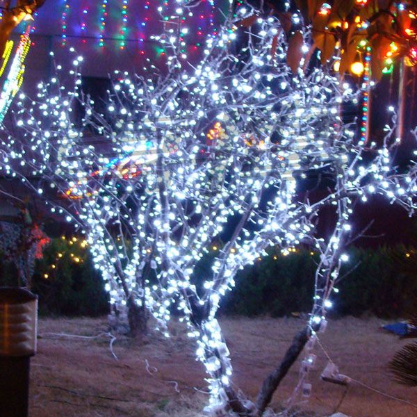 100 LED 10 M Noel Süs Işık, Flaş LED Renkli Işıklar, LED Işık Dize ile 2 Fiş, 7 Renkler Su Geçirmez LED Işık Şerit Aydınlatma