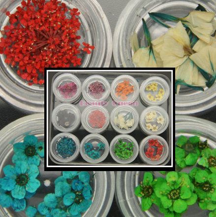 4 Styl Suchy suszony kwiat z 12 kolorami do 3D Petal Natrowial Nail Art Tips Design UV Gel Decoration Narzędzie w pudełku * 3BOX / LOT