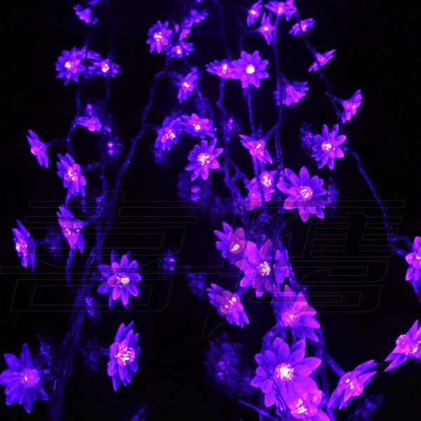 40 led 5 m lotus yılbaşı süsleme ışık dize, flaş led renkli ışıklar, peri lamba düğün ışık led ışık şerit