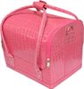 Cosmetic Case Makeup Train Case 1pcs/lot 5 Colors Bags Women Pink Tote Bag Make Up Organizer Multifunctional