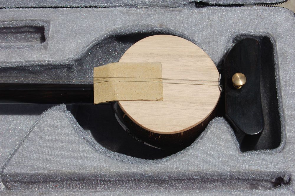 BanHu al por mayor, ala de pájaro de Banhu del wingceltis negro, instrumento musical de China, fabricantes que venden
