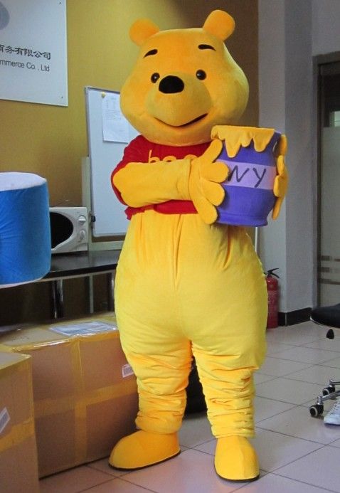 winnie the pooh cat costume