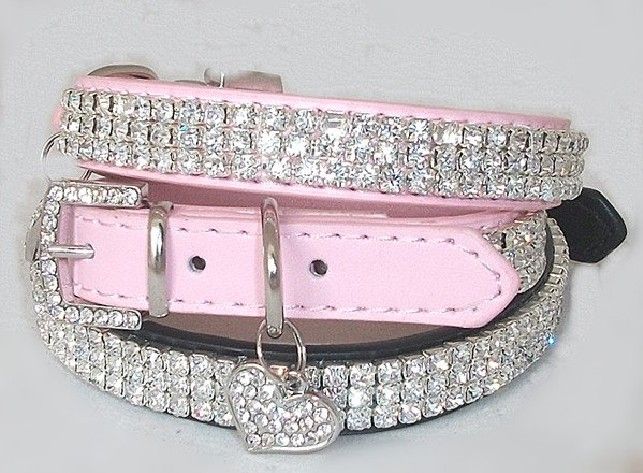 2020 Leather Bling Pet Collar With 