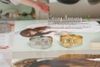 The most popular mixed color gold & silver belt belt buckle ring 100pcs