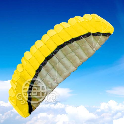 250 cm a 2 linee acrobazie Parafoil Power Sport Kitefour Colore opzionale9257391