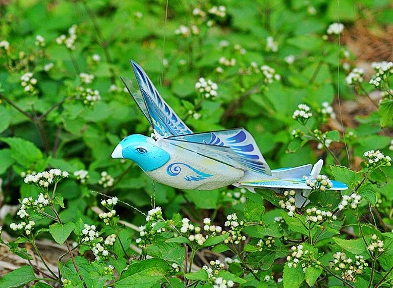 pigeon remote control