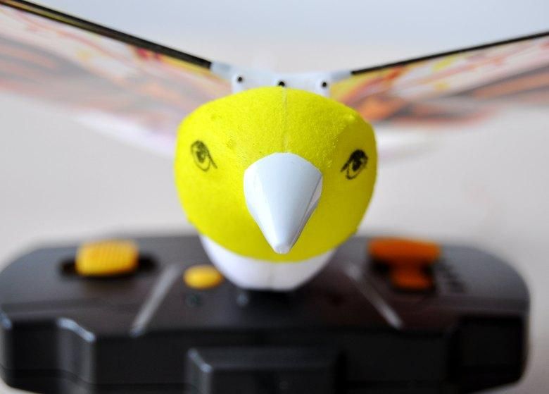 pigeon remote control