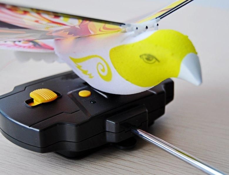 pigeon remote control
