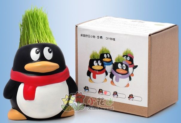 Hediye penguen sevimli Saç adam Bitki Bonsai Çim Doll Ofisi Mini Bitki Fantastik Ev Dekorasyonu pot + tohumlar