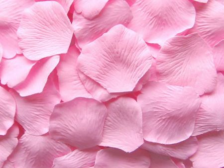 10 Torby Pink Silk Rose Petal Petals Favors Favors Party Decoration 