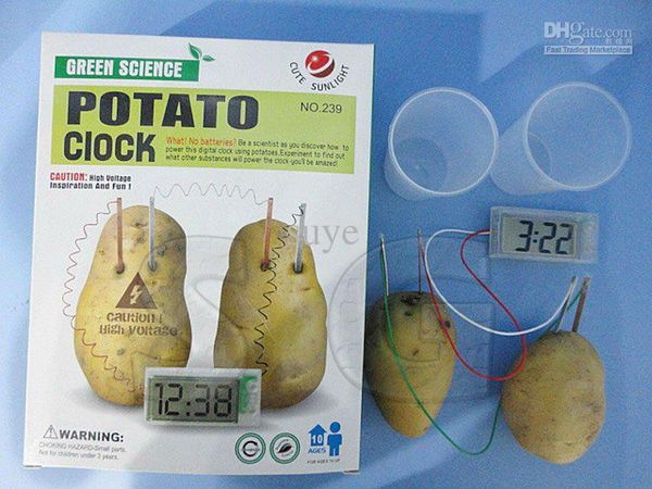 significance of potato battery Fruit/veg batteries overview: the archaic lemon battery: lemon with a copper and zinc electrode in it however oranges, the second most acidic, showed voltages similar to the potato, the least acidic, both tied for lowest voltages. significance of potato battery Fruit/veg batteries overview: the archaic lemon battery: lemon with a copper and zinc electrode in it however oranges, the second most acidic, showed voltages similar to the potato, the least acidic, both tied for lowest voltages.