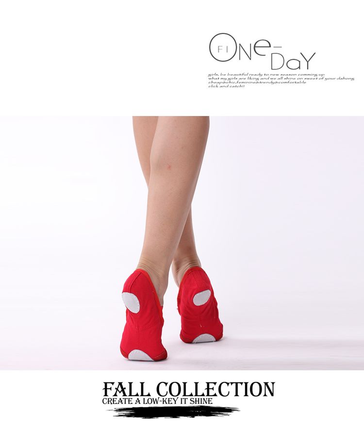 Top Quality Cheap Dance Shoes Belly Egypt Dance Shoes Ballet Shoes