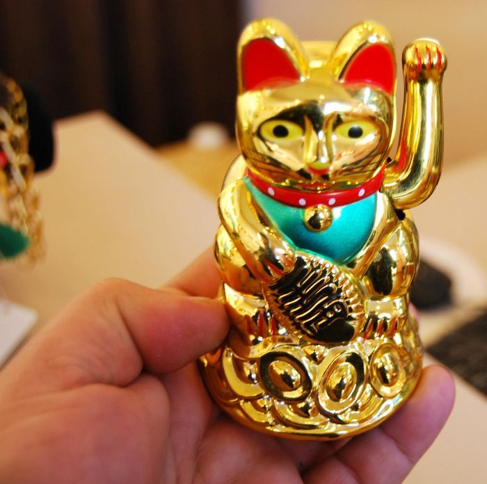 Glückskatze, chinesisches Feng Shui, winkt Reichtum, Glückskatze, winkt mit der Hand, Katze, Gold, mit Kleinkasten-Geschenk