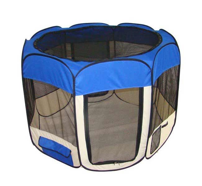 Blue pet. Blue Kennel.