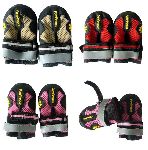 pompreece dog shoes